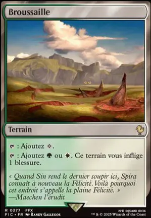 Broussaille