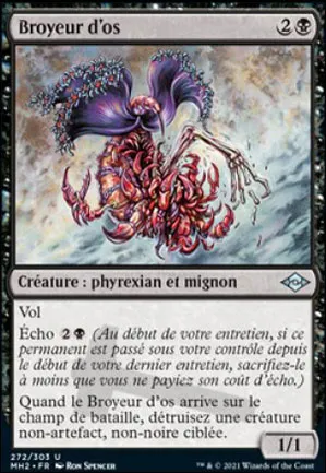 Broyeur d'os