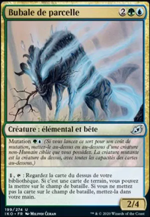 Bubale de parcelle