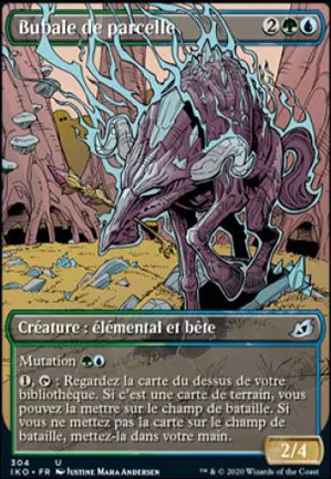 Bubale de parcelle