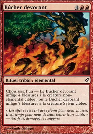 Bûcher dévorant