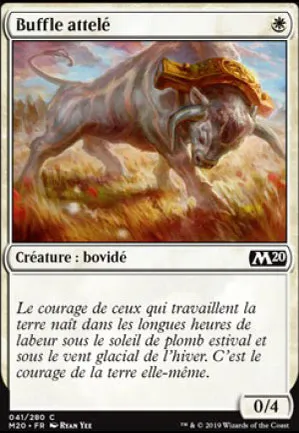 Buffle attelé