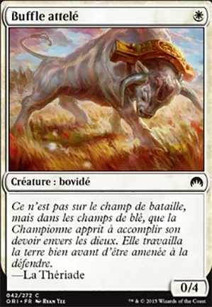 Buffle attelé