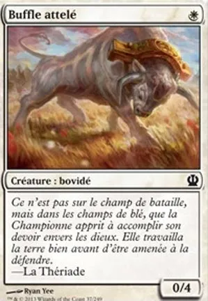 Buffle attelé
