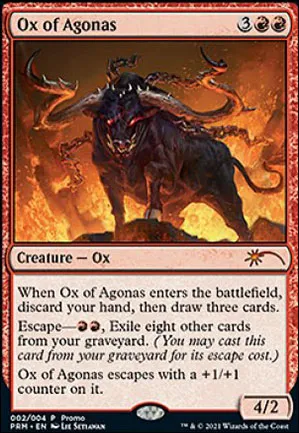 Buffle de l'Agonas