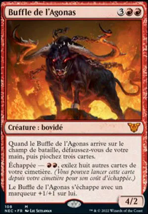 Buffle de l'Agonas