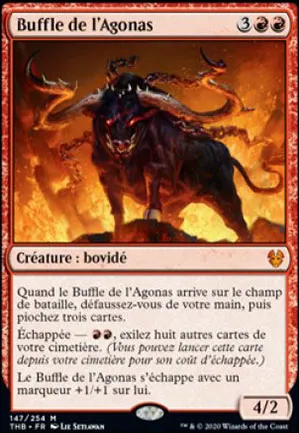 Buffle de l'Agonas