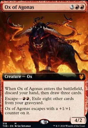 Buffle de l'Agonas