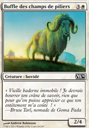 Buffle des champs de piliers