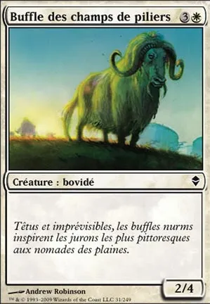 Buffle des champs de piliers