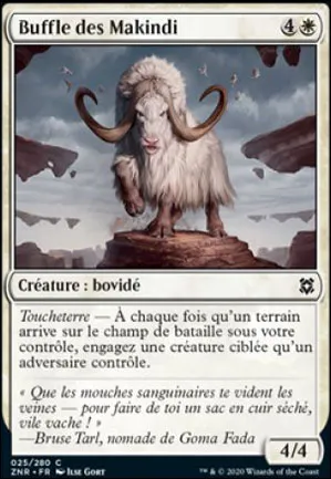 Buffle des Makindi