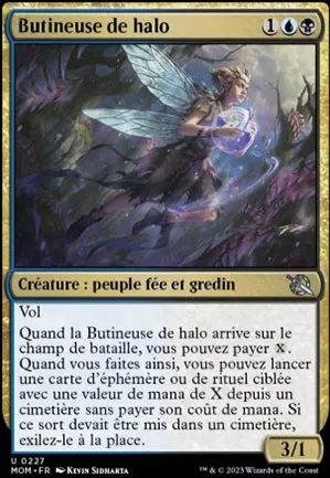 Butineuse de halo