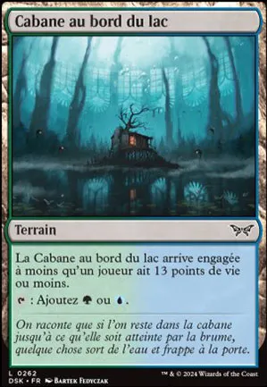 Cabane au bord du lac