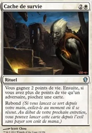 Cache de survie