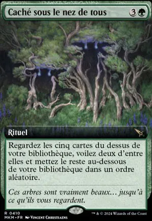 Caché sous le nez de tous