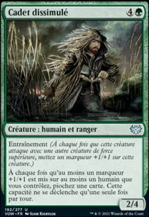 Cadet dissimulé