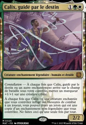 Calix, guidé par le destin
