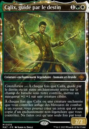Calix, guidé par le destin