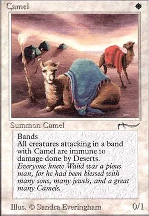 Camel