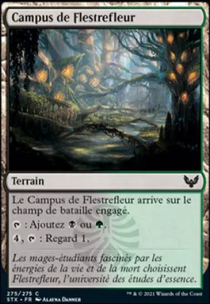 Campus de Flestrefleur