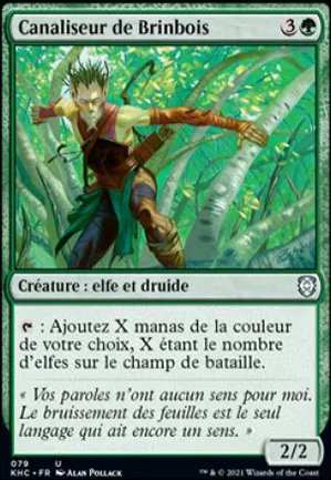 Canaliseur de Brinbois