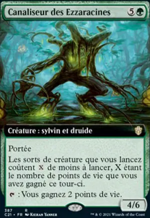 Canaliseur des Ezzaracines