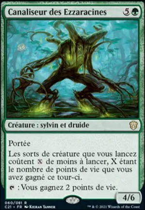 Canaliseur des Ezzaracines
