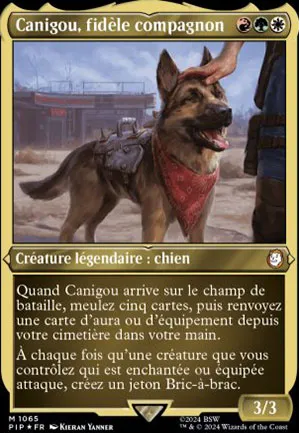 Canigou, fidèle compagnon