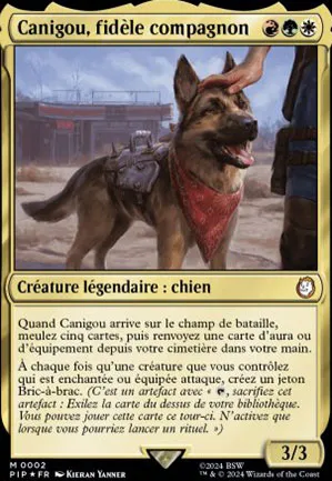 Canigou, fidèle compagnon
