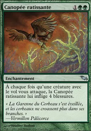 Canopée ratissante