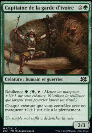 Capitaine de la garde d'ivoire