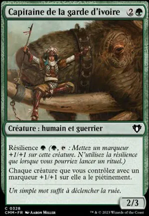 Capitaine de la garde d'ivoire