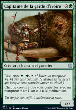 Capitaine de la garde d'ivoire