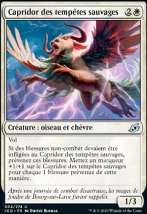 Capridor des tempêtes sauvages