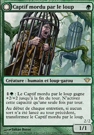 Captif mordu par le loup