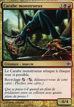 Carabe monstrueux