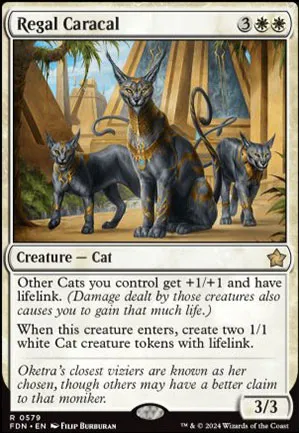 Caracal royal