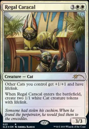 Caracal royal
