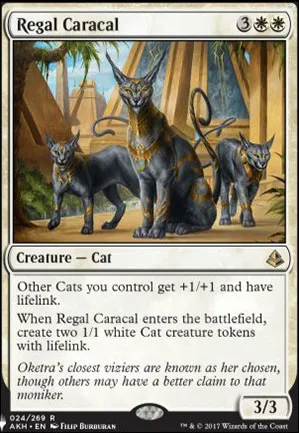 Caracal royal