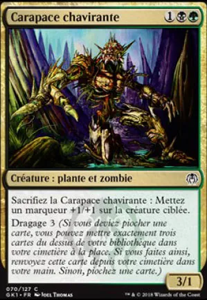 Carapace chavirante