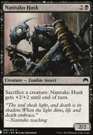 Carapace de nantuko