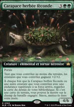 Carapace herbée féconde