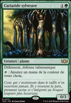 Cariatide sylvestre