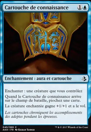 Cartouche de connaissance