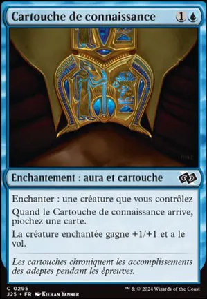 Cartouche de connaissance