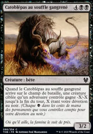 Catoblépas au souffle gangrené