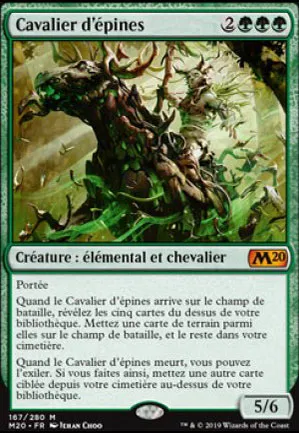 Cavalier d'épines