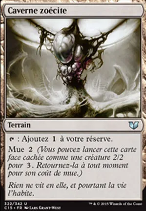 Caverne zoécite