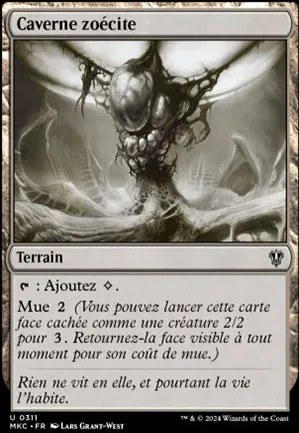 Caverne zoécite