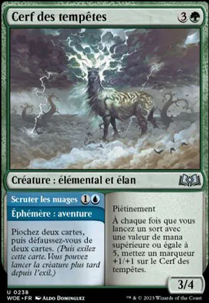 Cerf des tempêtes // Scruter les nuages